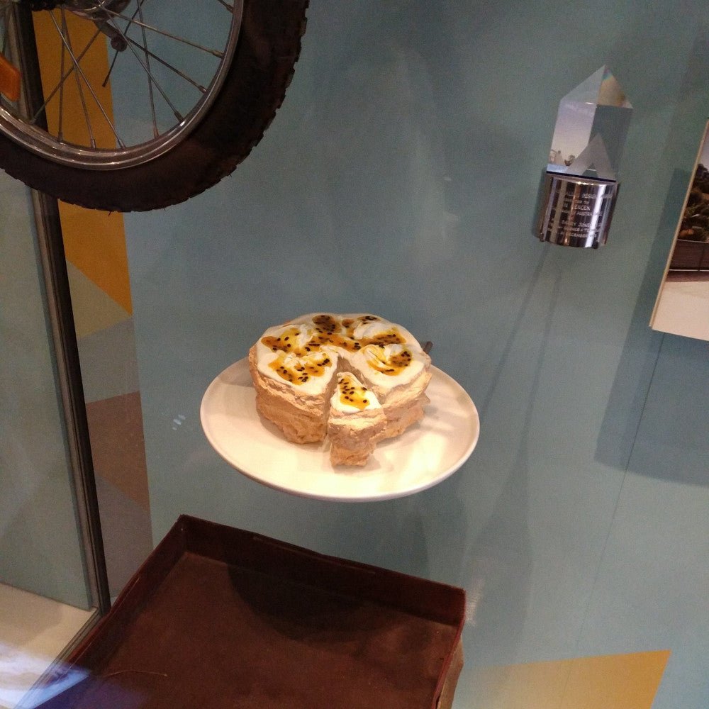 Pavlova display model | Museum Boola Bardip